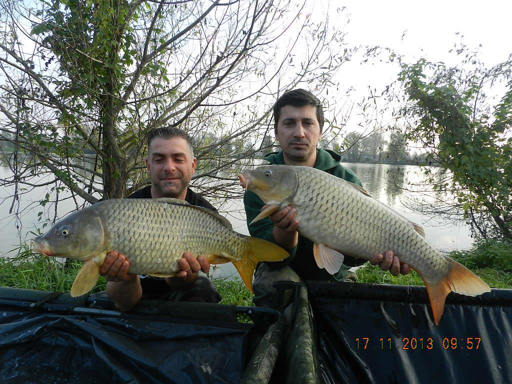 15 noiembrie 2013 - dscn1816.JPG